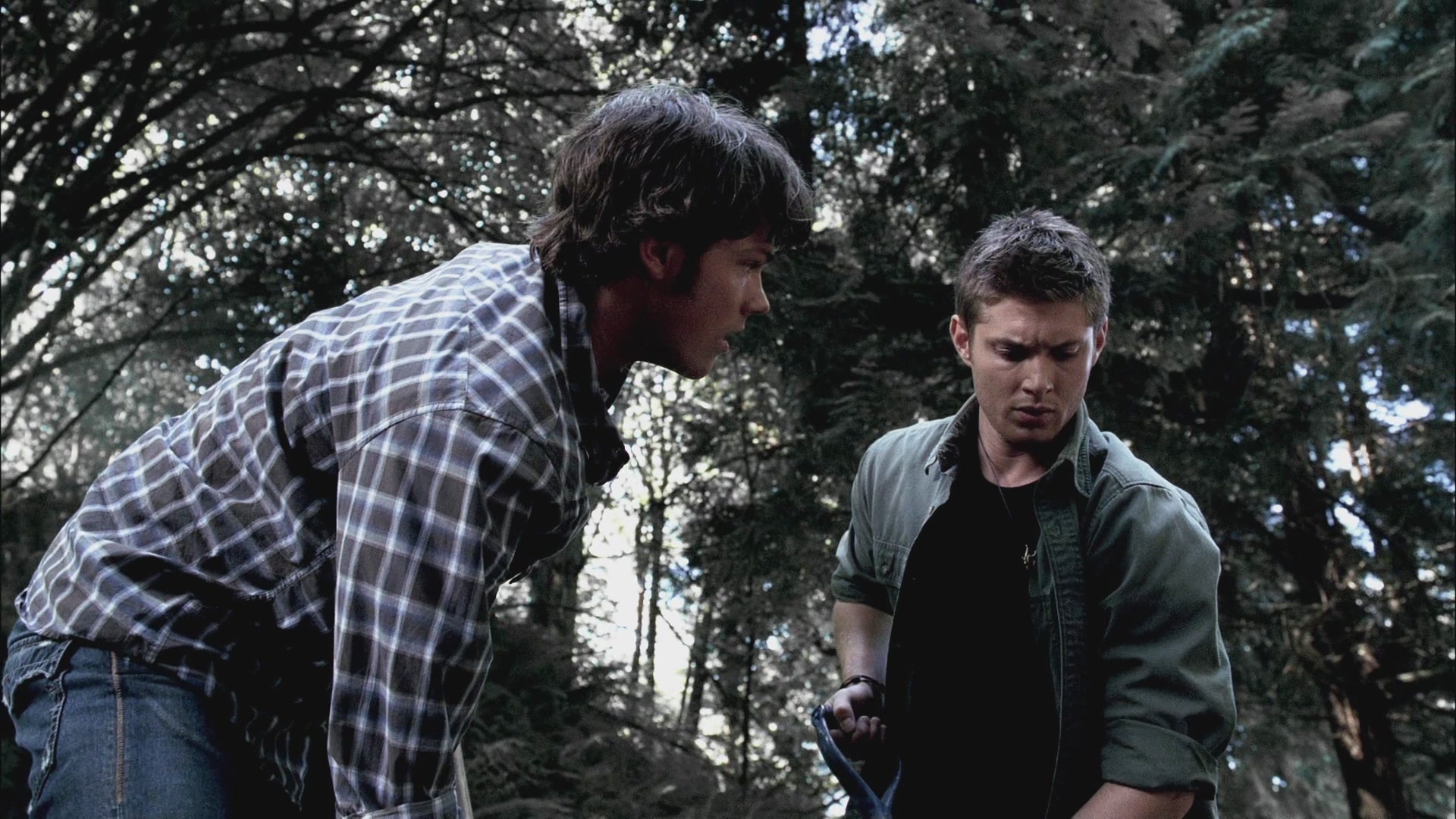 SPN_0905.jpg