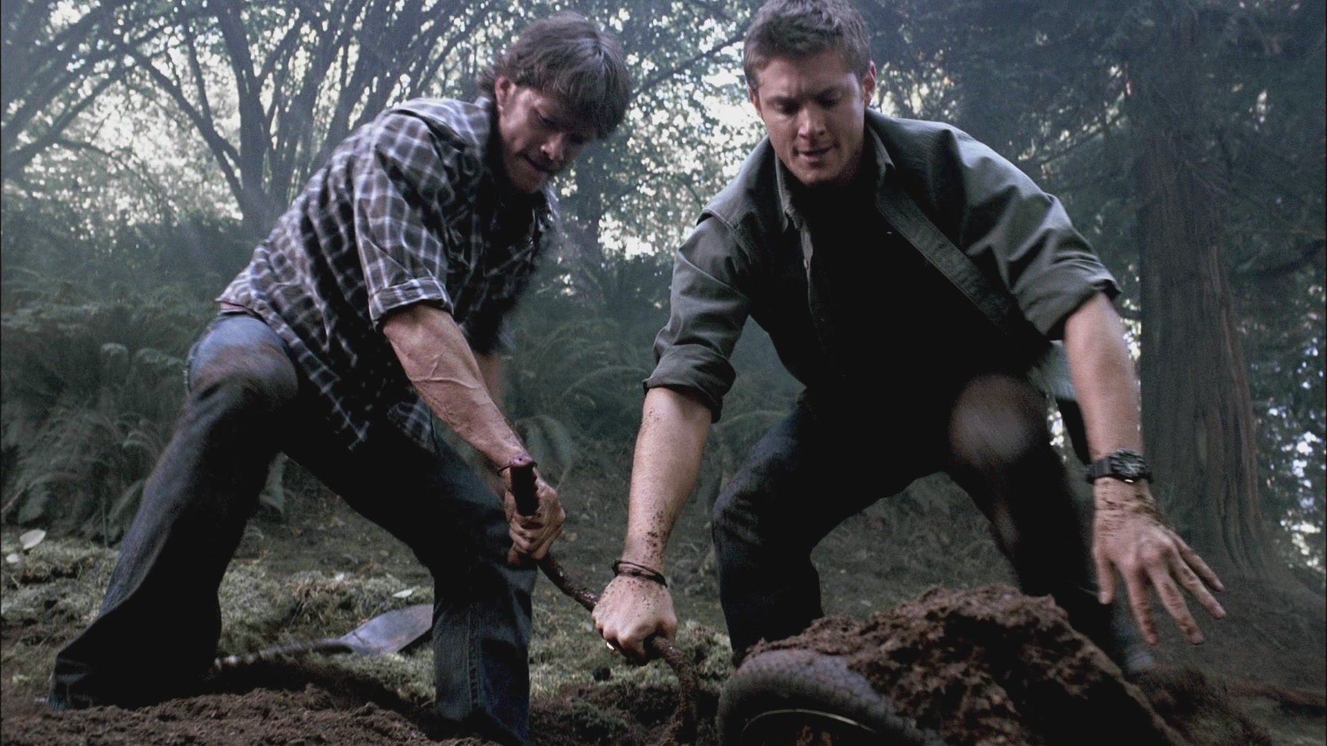 SPN_0909.jpg