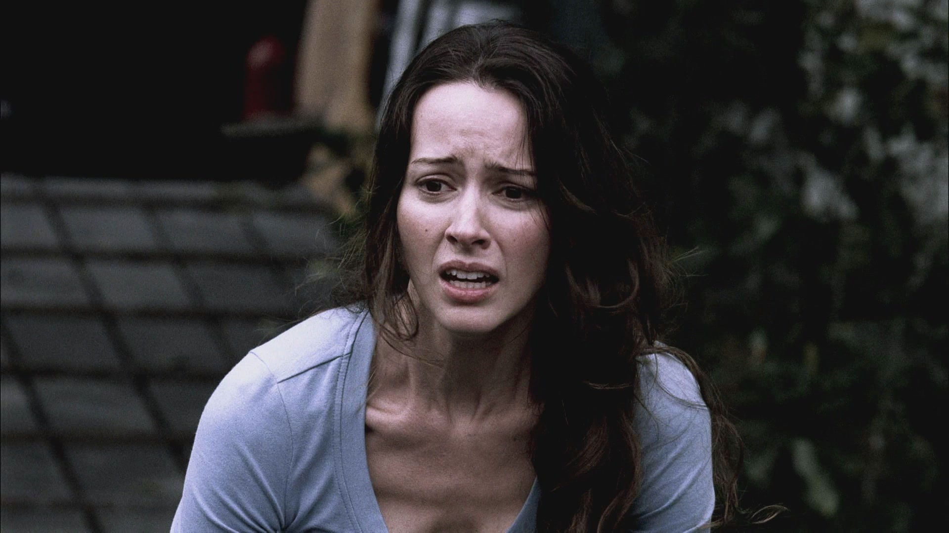 SPN_1016.jpg