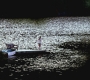 SPN_0016.jpg