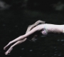 SPN_0018.jpg