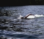 SPN_0030.jpg