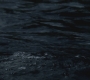 SPN_0036.jpg