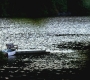 SPN_0037.jpg