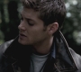 SPN_0362.jpg
