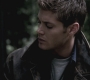 SPN_0364.jpg
