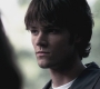 SPN_0401.jpg