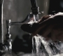 SPN_0429.jpg