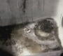 SPN_0434.jpg