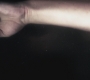 SPN_0458.jpg