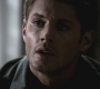 SPN_0492.jpg