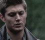 SPN_0500.jpg