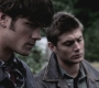 SPN_0502.jpg
