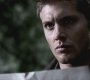SPN_0528.jpg