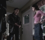 SPN_0532.jpg