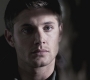SPN_0542.jpg