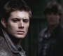 SPN_0679.jpg