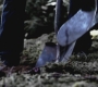SPN_0904.jpg