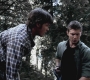 SPN_0905.jpg