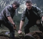 SPN_0909.jpg