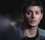 SPN_0944.jpg