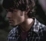 SPN_0972.jpg