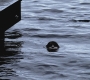 SPN_0999.jpg