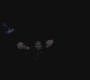 SPN_1043.jpg