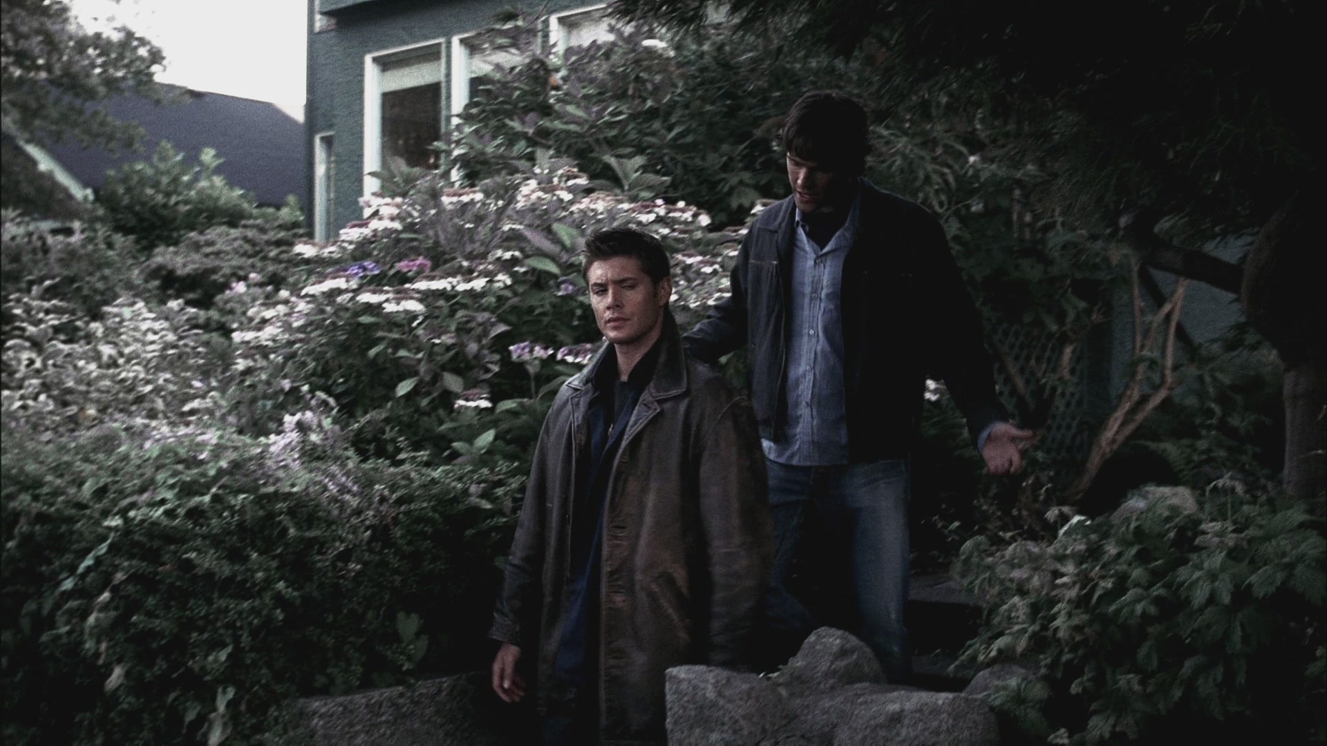 SPN_0403.jpg