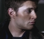 SPN_0219.jpg