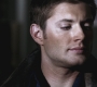SPN_0248.jpg