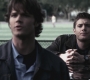 SPN_0362.jpg