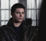 SPN_0395.jpg