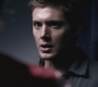 SPN_0950.jpg