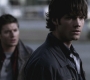 SPN_1102.jpg