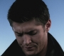 SPN_1123.jpg