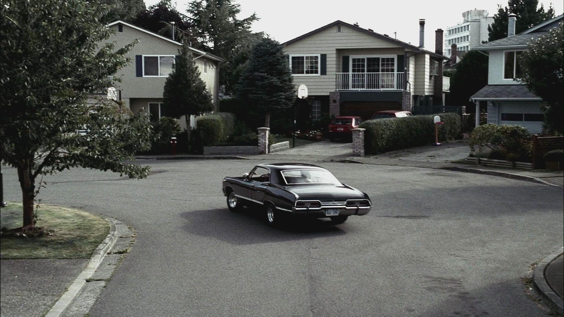SPN_1080.jpg