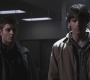 SPN_0366.jpg