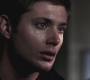 SPN_0630.jpg