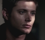 SPN_0642.jpg