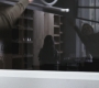 SPN_0723.jpg