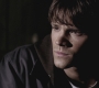 SPN_0800.jpg