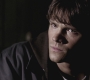 SPN_0803.jpg