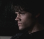 SPN_0831.jpg