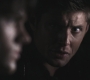 SPN_0837.jpg
