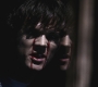 SPN_0976.jpg
