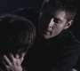 SPN_0990.jpg