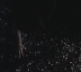 SPN_1003.jpg
