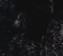 SPN_1005.jpg