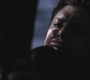 SPN_1028.jpg